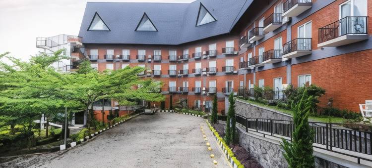 西安塔尔萨帕迪亚酒店(Sapadia Hotel Siantar)图片