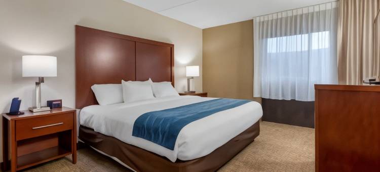 宾厄姆顿I-81舒适酒店(Comfort Inn Binghamton I-81)图片