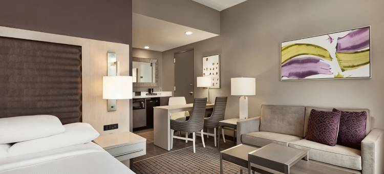 夏洛特上城希尔顿安泊酒店(Embassy Suites by Hilton Charlotte Uptown)图片
