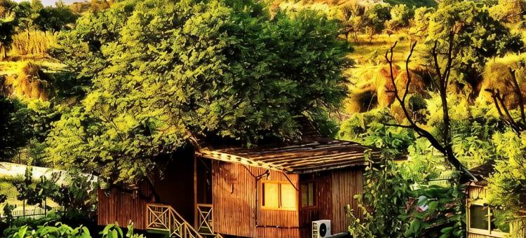 树屋度假村(The Tree House Resort, Jaipur- A Club Mahindra Associate)图片