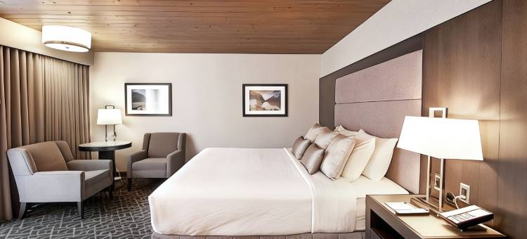 赛丁29号贝斯特韦斯特优质酒店(Best Western Plus Siding 29 Lodge)图片