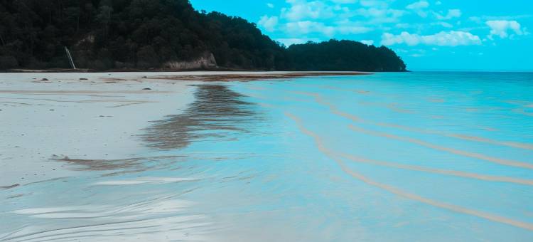 艾斯卡酒店(Eska Hotel)图片