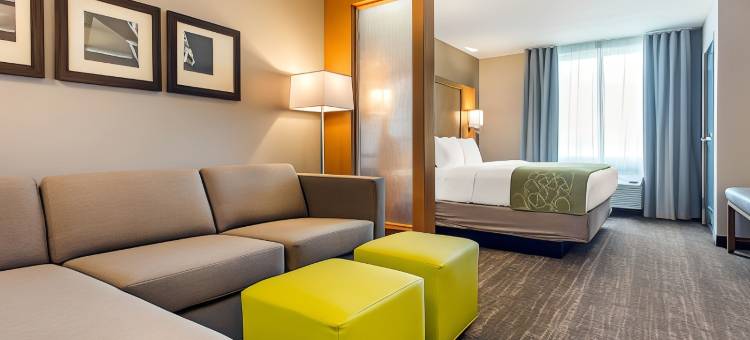 Comfort Suites North Charleston - Ashley Phosphate图片