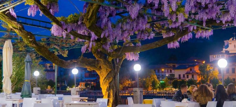 车站酒店(Hotel Stazione Sul Lago di Iseo)图片