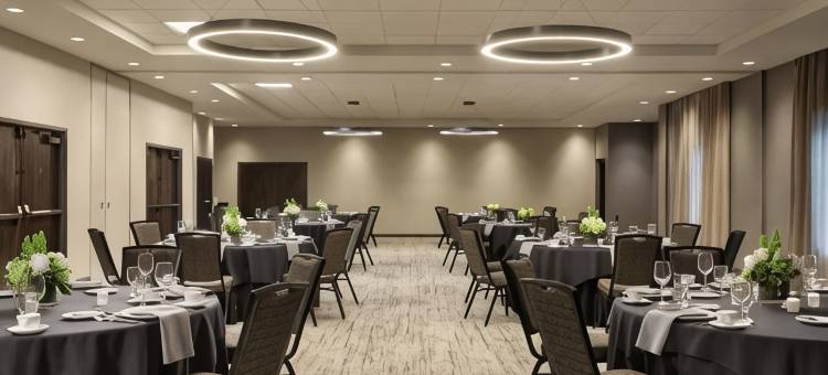 希尔顿亚特兰大阿尔普哈雷塔使馆套房酒店(Embassy Suites by Hilton Atlanta Alpharetta)图片