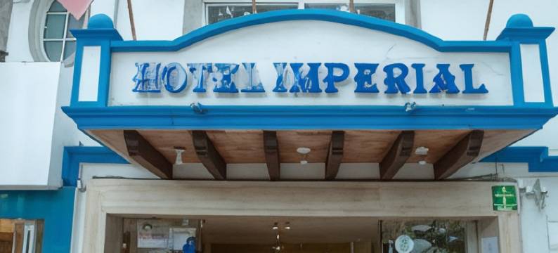 帝国酒店(Hotel Imperial)图片