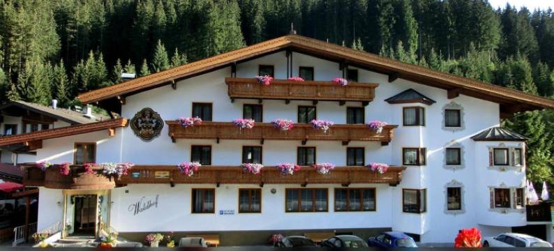 瓦尔多夫酒店(Waldhof)图片