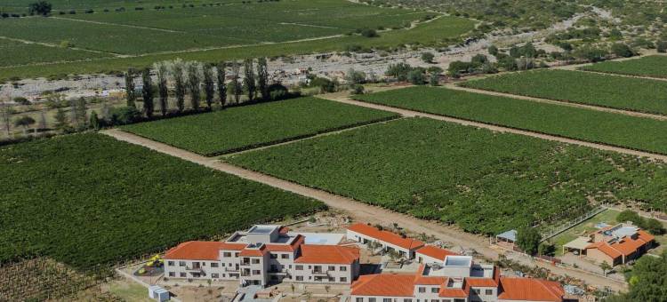 Buena Vid由Chadel管理(Buena Vid by Chadel Management)图片