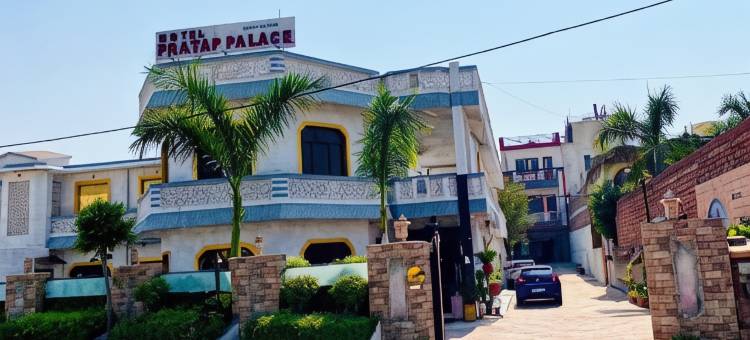 普拉塔普宫殿酒店(Hotel Pratap Palace)图片