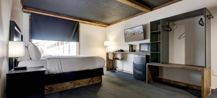 Hotel Lex, Trademark Collection by Wyndham图片