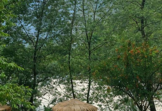 Aloha Riverside Hotel Overview