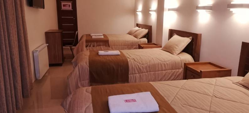 Hotel Los Andes del Sur图片