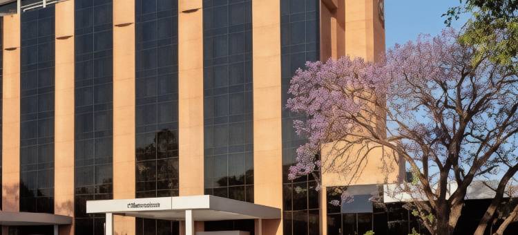 图库曼喜来登酒店(Sheraton Tucuman Hotel)图片