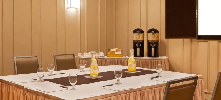 萨吉诺福朋喜来登酒店(Four Points by Sheraton Saginaw)图片