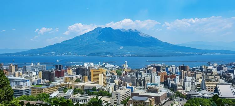 东横INN 鹿儿岛天文馆1号店(Toyoko Inn Kagoshima Temmonkan No 1)图片