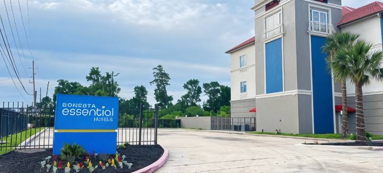 索内斯塔精选酒店休斯顿I-45春(Sonesta Essential Hotel Houston-I-45 Spring)图片