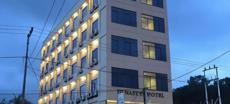 王朝酒店(Hotel Dynasty)图片