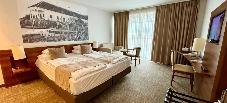 泽尼特巴拉顿酒店(Zenit Wellness Hotel Balaton)图片