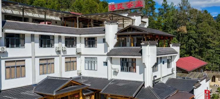 桐韵小院图片