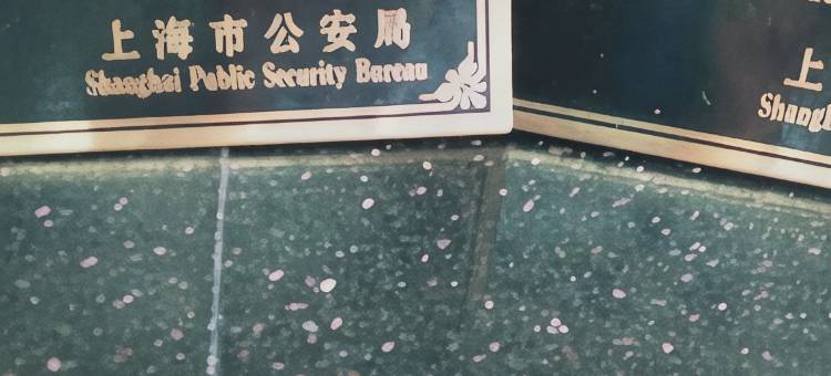 铂悦酒店(上海真如地铁站环宇城店)图片