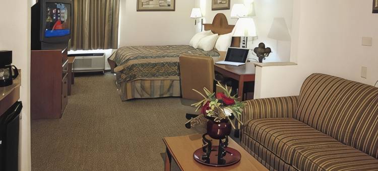 蓝天使贝斯特韦斯特优质酒店(Best Western Plus Blue Angel Inn)图片