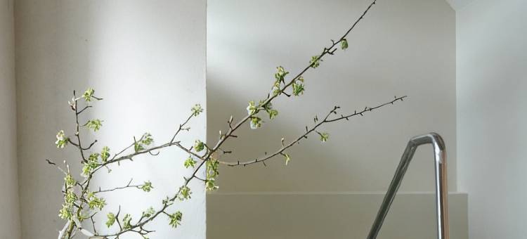 多恩·佩德罗的La Dehesa(La Dehesa de Don Pedro)图片