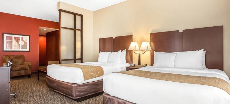 查尔斯顿西阿什利舒适套房酒店(Comfort Suites Charleston West Ashley)图片