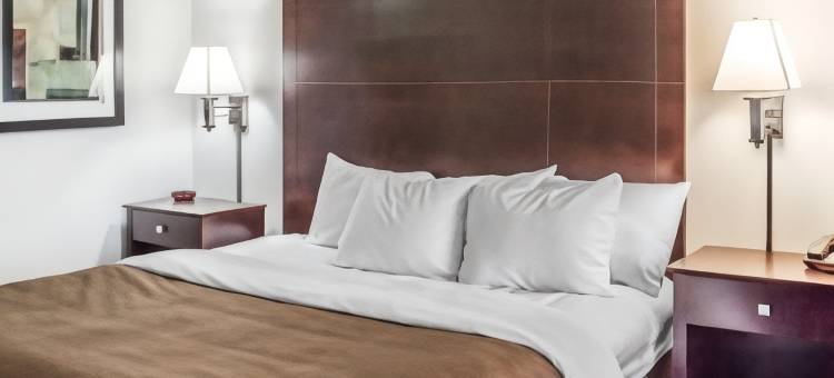 凯艺套房酒店(Quality Inn & Suites)图片