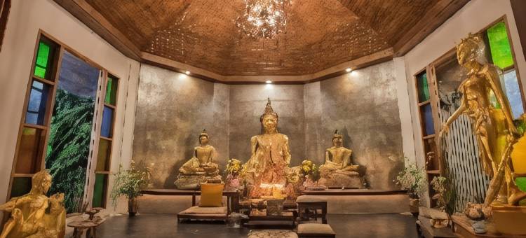 特里塔拉度假村(Tree Tara Resort)图片
