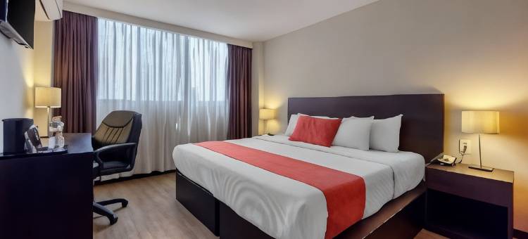 圣路易斯波托西舒适酒店(Comfort Inn San Luis Potosi)图片