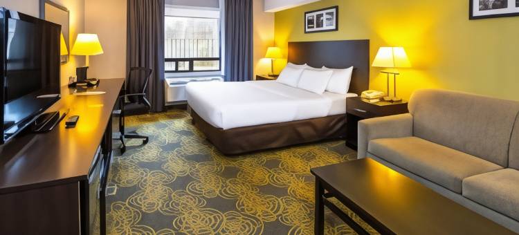 舒适套房酒店(Comfort Hotel & Suites)图片