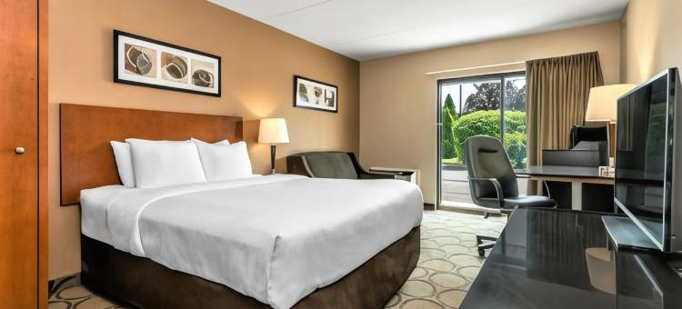 里贾纳舒适酒店(Comfort Inn)图片