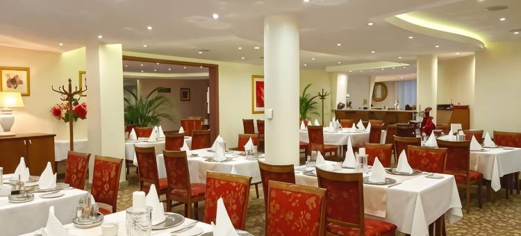 阿玛丽利斯酒店(Hotel Amaryllis)图片