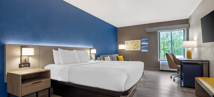 舒适酒店(Comfort Inn)图片
