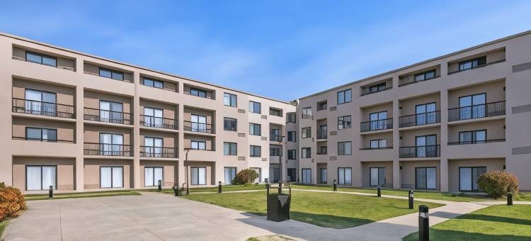 舒适酒店及套房-阿灵顿高地-水牛树林(Comfort Inn & Suites Arlington Heights - Buffalo Grove)图片
