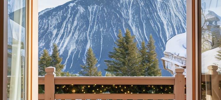 马勒兰迪斯(Lys Martagon)图片