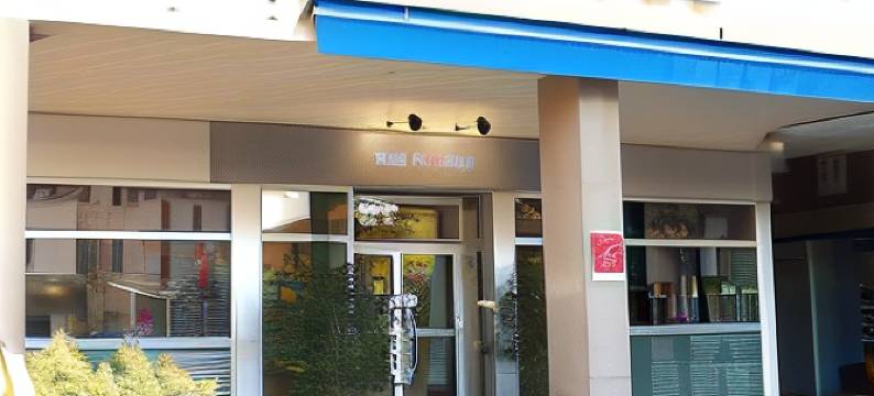 阿讷马斯杜中心酒店(Hôtel du Centre Annemasse)图片