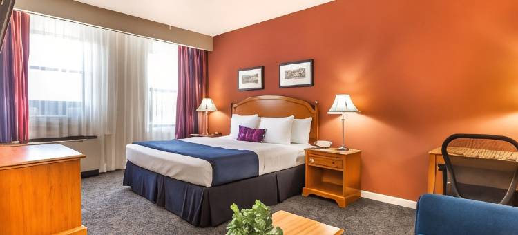 泽西市华美达酒店(Ramada by Wyndham Jersey City)图片