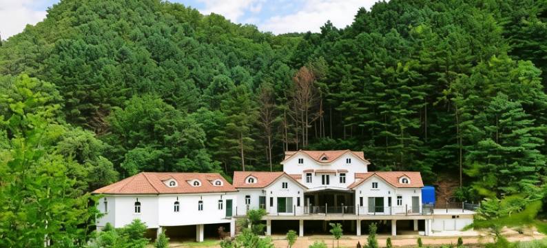 天蓝色观光农园(Haneulbit Gwangang Nongwon)图片