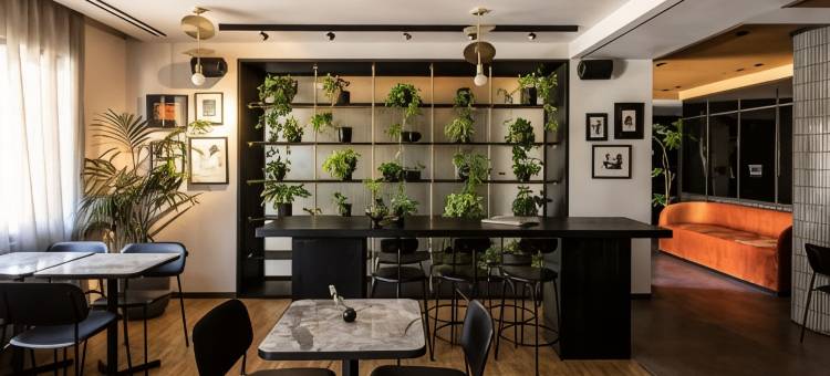 雅典现代派酒店(The Modernist Athens)图片