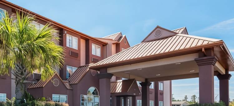 纳基伊克诺旅馆及套房(Econo Lodge Inn & Suites Natchitoches)图片