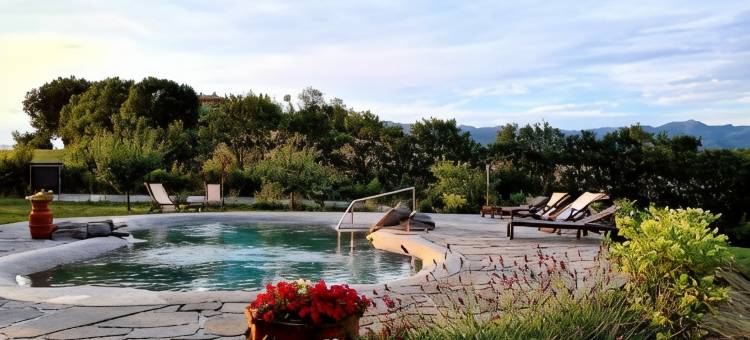 伊尔尼多加比亚诺旅馆(Il Nido di Gabbiano)图片