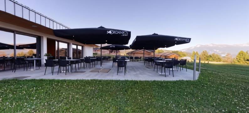 林地村(Woodland Village Anzère)图片