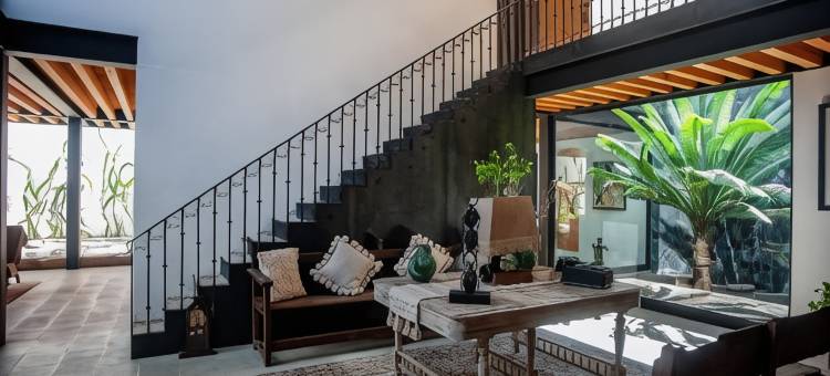 卡门索洛特尔之家(Casa Carmen Xólotl)图片