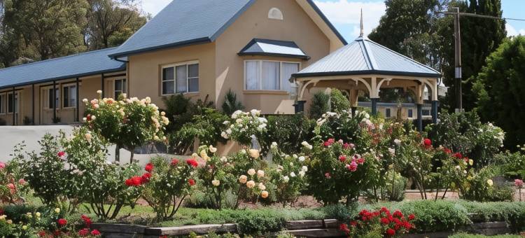 柳树汽车旅馆(Willows Motel)图片