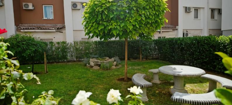 Hotel Pansion No1图片