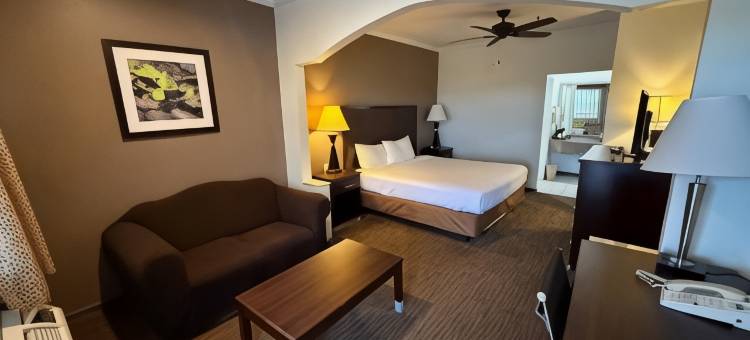 纳瓦索塔温德姆戴斯酒店(Days Inn by Wyndham Navasota)图片