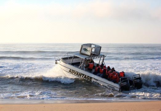 Lodge Afrique Hotel Overview