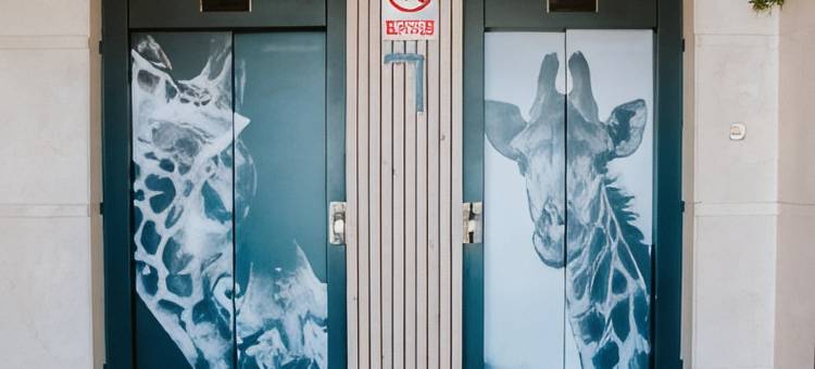 波洛特尔(Polotel)图片