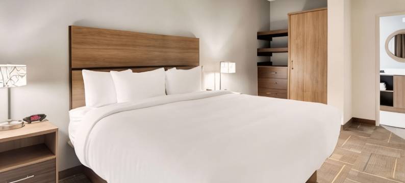 达拉斯西北MainStay套房(MainStay Suites Dallas Northwest - Irving)图片